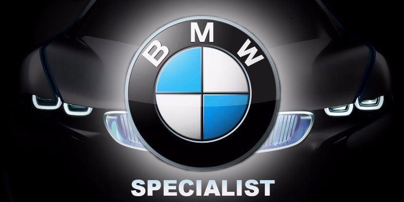 BMW Specialist